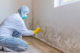 Asbestos and Lead Testing During Mold Inspection in Topeka, IN